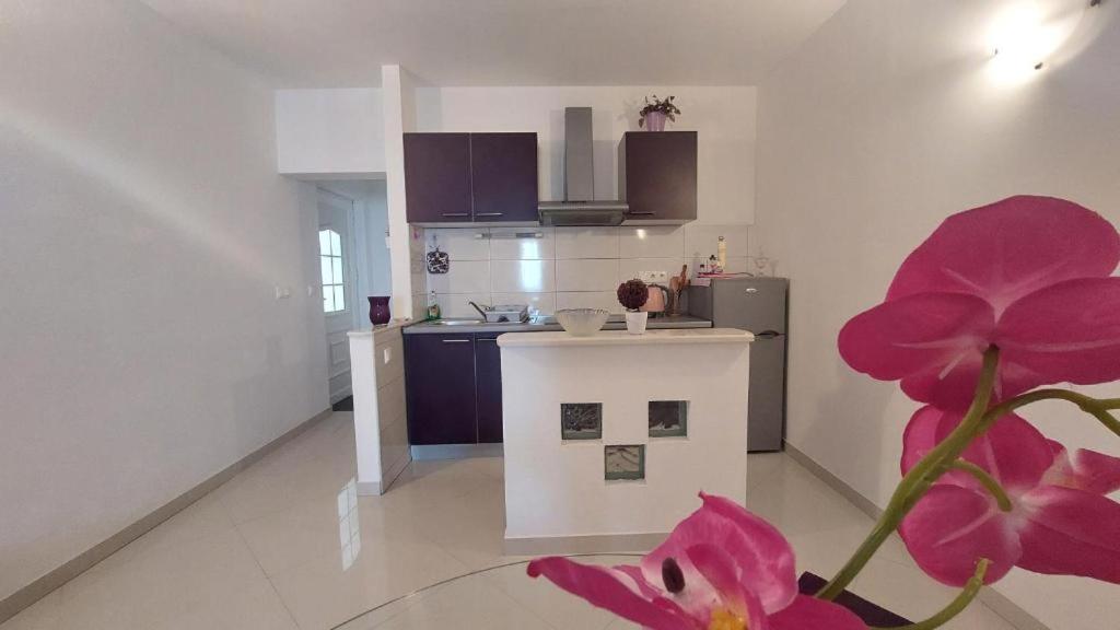 Apartments Mestral บาชกาโวดา ภายนอก รูปภาพ